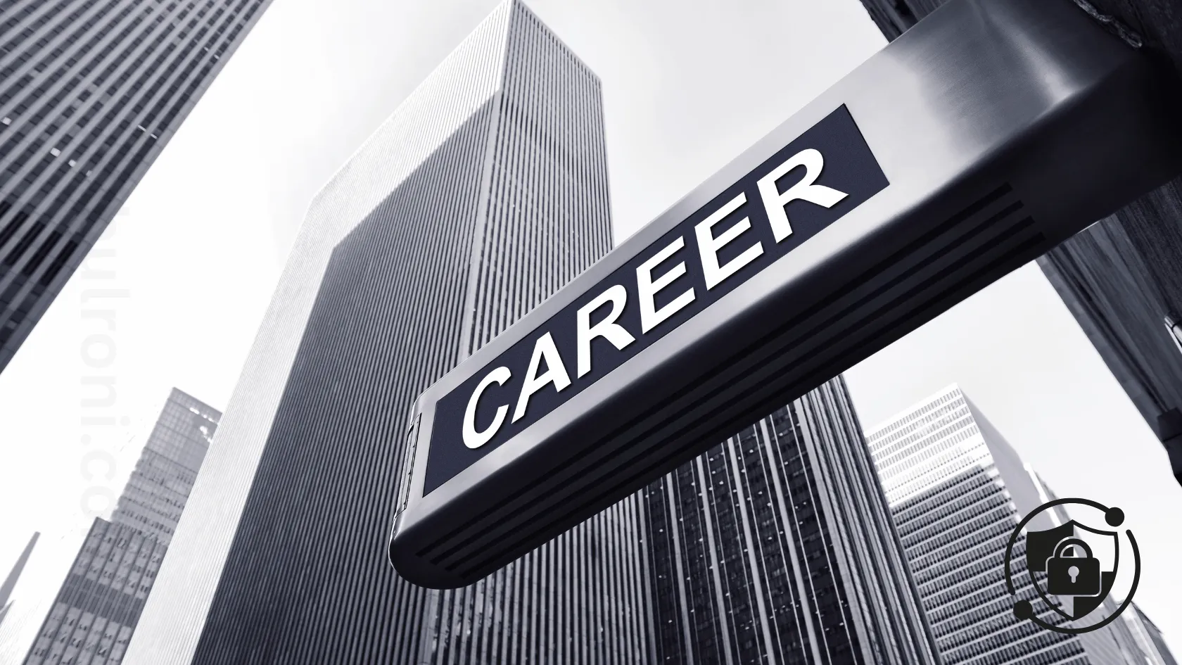 Career in Penetration Testing